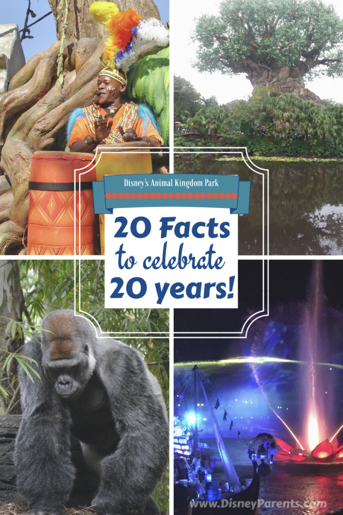 20 facts for Animal Kingdom Park for Animal Kingdom's 20th anniversary